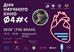 Дни научного кино. Показ фильма "IN SILICO. МОЗГ В КОМПЬЮТЕРЕ"